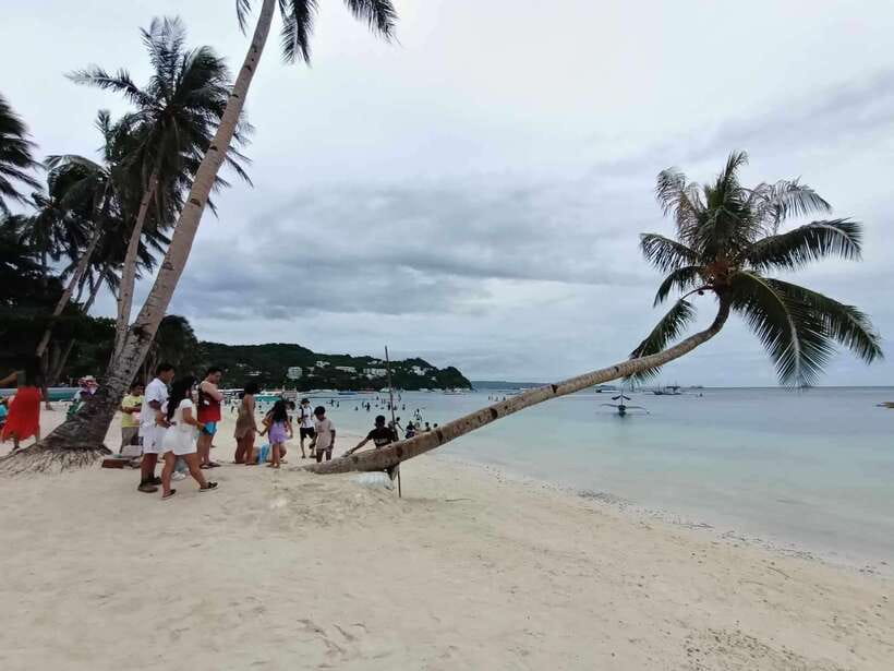 2-Hour Boracay Land Tour via Etrike - Mangrove Boracay Roots (Bakawan): a calmer start before the iconic views