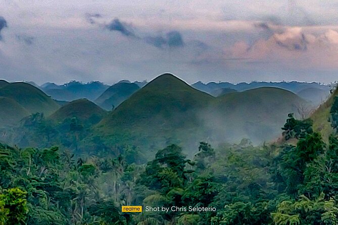 2025 Tarsier, Waterfalls & Chocolate Hills Tour - Why this Bohol half-day tour feels efficient and fun