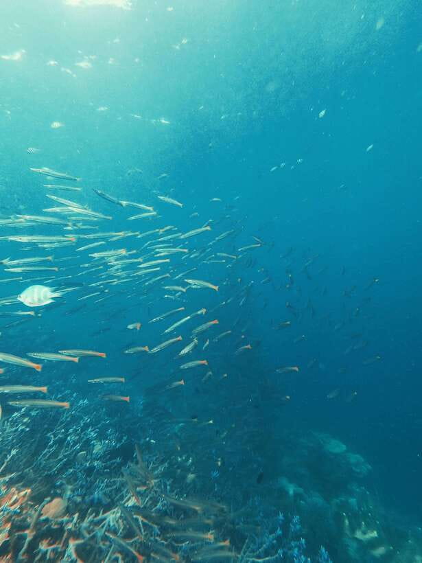 3DAYS AND 2NIGHTS SNORKEL ISLANDS HOPPING EXPEDITION - Your 3-day rhythm: snorkel stops, secret coves, and long beach breaks
