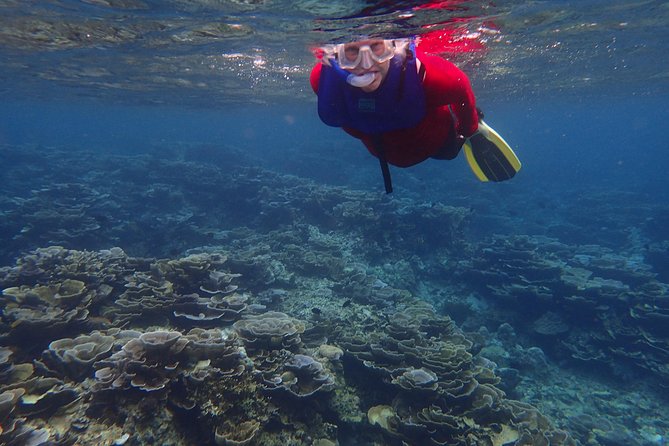 Anilao Snorkel Safari: Explore the Amazing Underwater World - Getting From Manila to Anilao in an Air-Conditioned Van
