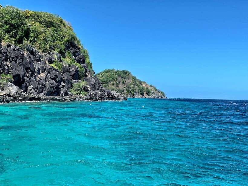 Apo Island Wonders: Snorkel with Sea Turtles in Dumaguete - Apo Island snorkeling with sea turtles, what you’re really buying