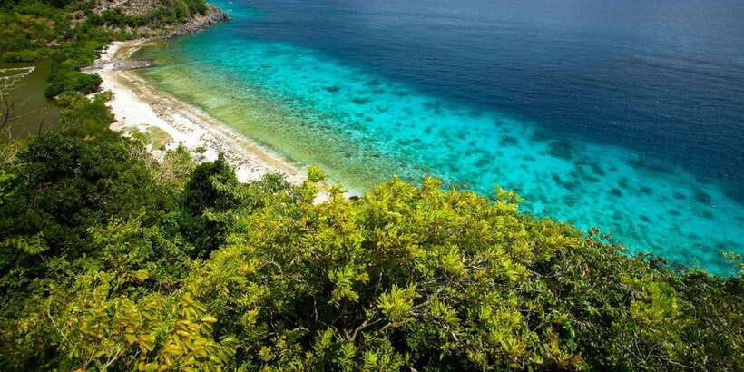 Apo Island Wonders: Snorkel with Sea Turtles in Dumaguete - Who this tour fits best, and who should skip it