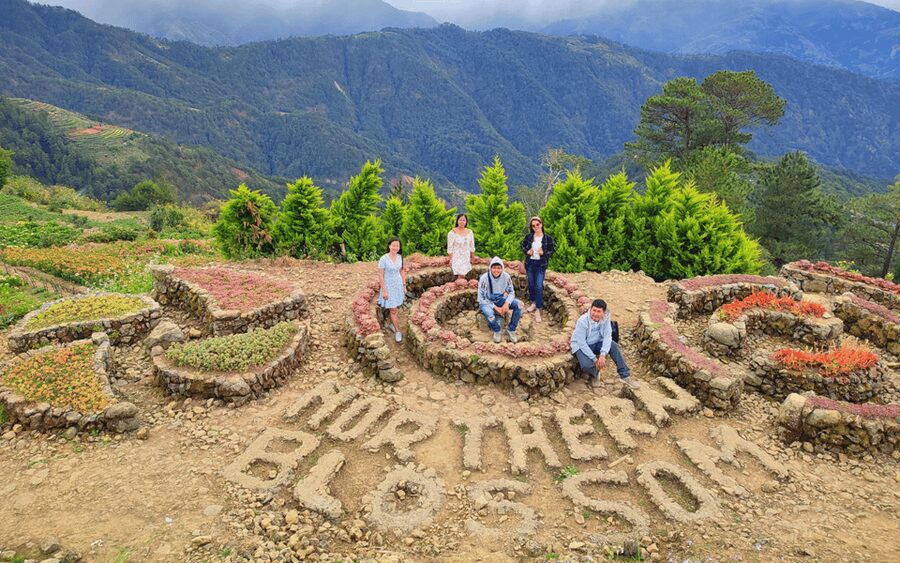 Baguio Atok Flower Blossoms (Private Tour) - Lunch Is Not Included, so Plan Your Food Like a Local