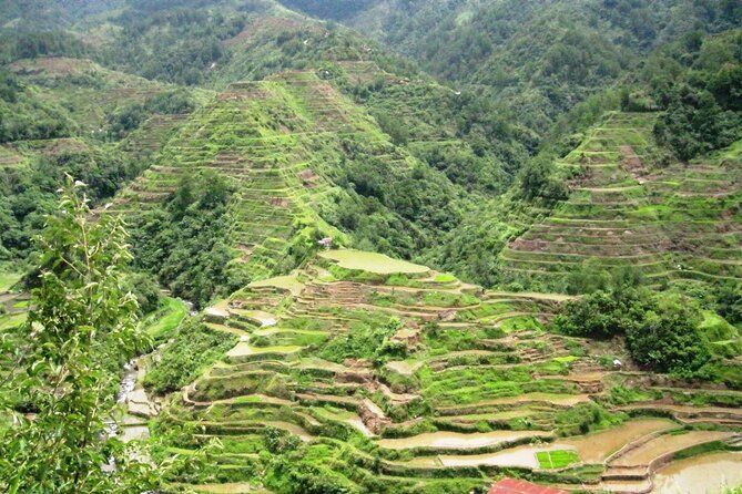 Banaue-Hapao Rice Terraces (Car Rental W/ Manila Tourist Driver) - Why a private drive to Banaue feels smarter than buses