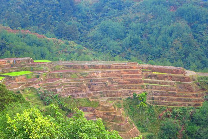 Banaue Rice Terraces Escape: 3 Days, 2 Nights with Transfers - The 3-day rhythm from Manila: why 3-4am is worth it