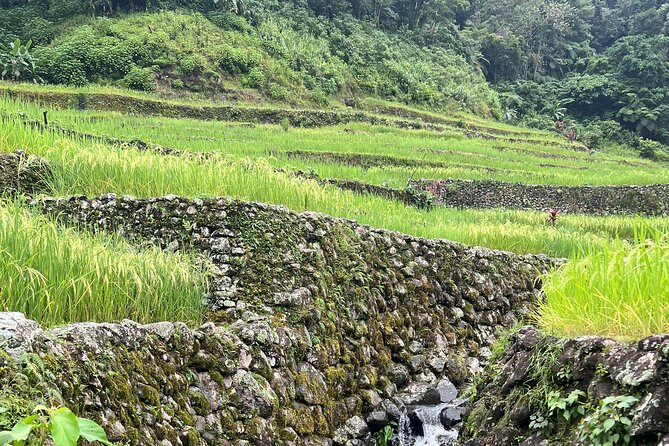 Batad Guided Tour - How long should you go, 6 hours or 2-3 days?