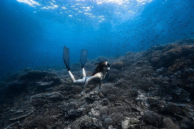 Beginner Freediving Course (with Bonus Session) - Key things that make this course work