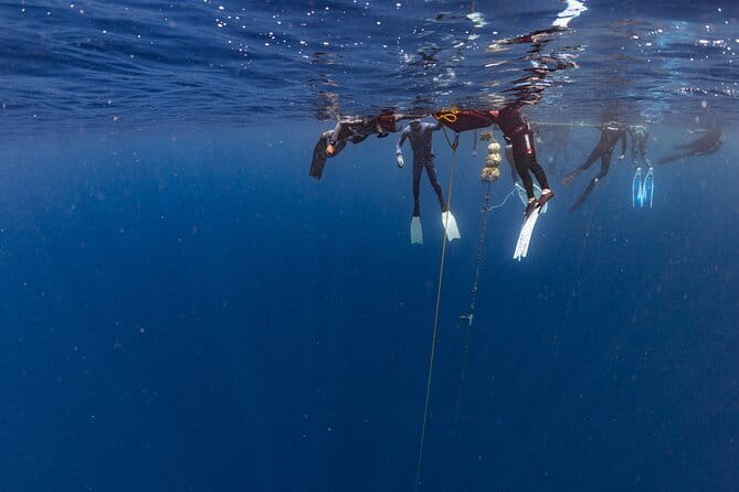Beginner Freediving Course (with Bonus Session) - Bonus session: how to treat it like extra training, not a surprise