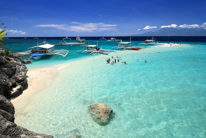 BEST OF CEBU:Oslob Whaleshark Encounter w Sandbar & Tumalog Falls - The early 4:00 am start and 10 to 12 hour day