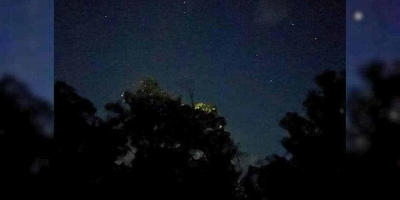 Bohol Abatan River: Firefly Watching Private Night Tour - Key highlights to know before you book