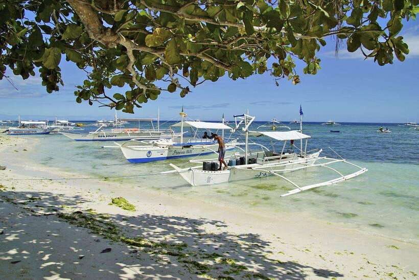 Bohol Balicasag Is Private Tour and Dolphin Watching - Private dolphin watching and island hopping, starting from Panglao