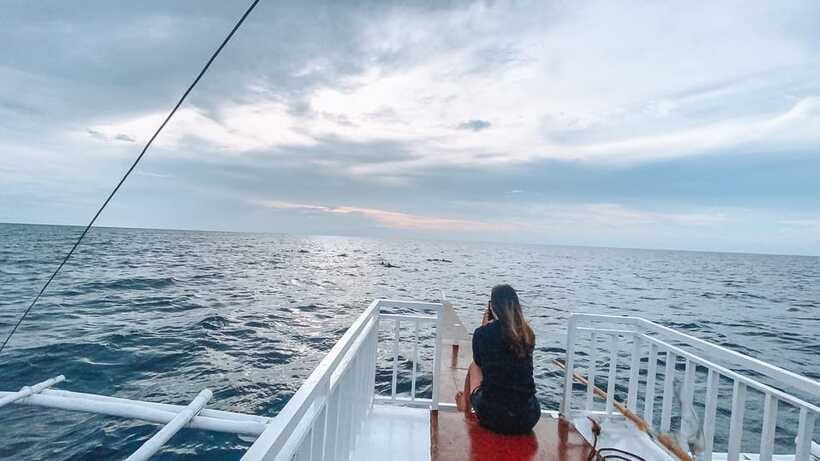 Bohol Balicasag Is Private Tour and Dolphin Watching - Private, small group, and local guide power: who runs the day