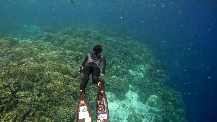 Bohol: Boat Tour to Sandbar and Snorkeling with Turtles - Turtle sanctuary time, and the right mindset in the water