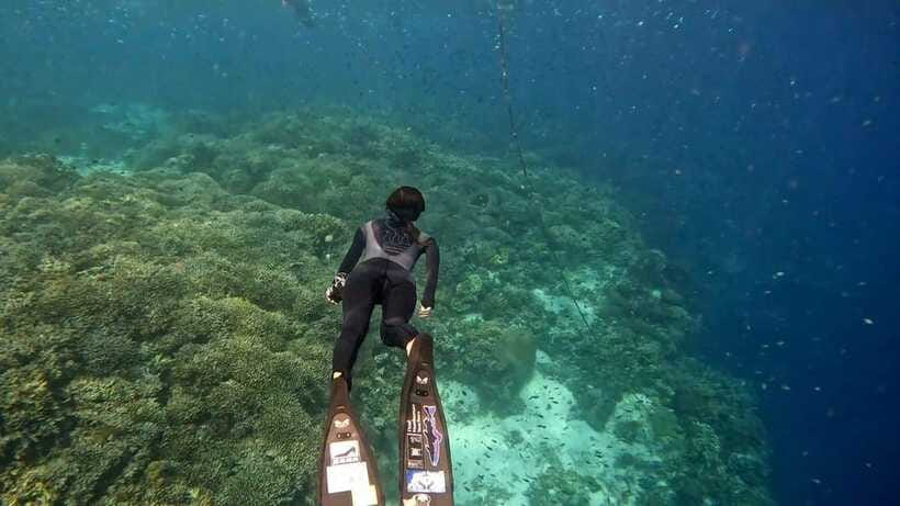 Bohol: Boat Tour to Sandbar and Snorkeling with Turtles - Virgin Island Sandbar: crescent sand, seagrass shallows, and what to expect