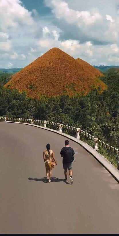 Bohol: Budget Chocolate Hills & Tarsiers -Backpacker Special - Man-Made Forest: the best kind of quick stop, shaded and practical