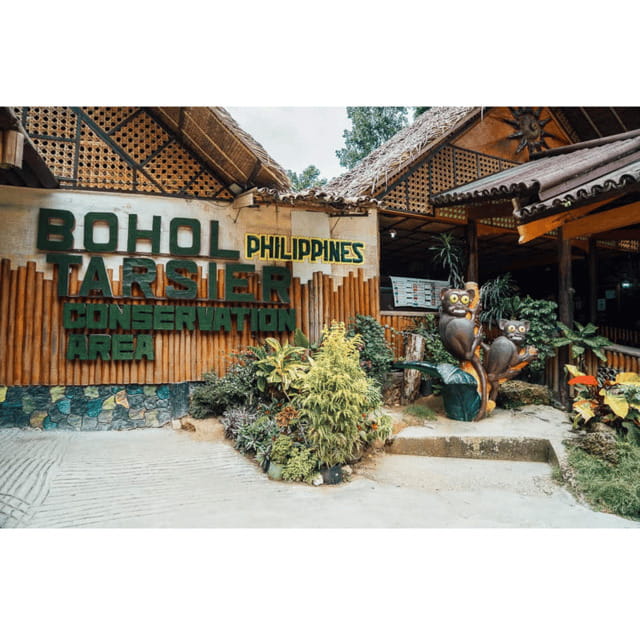 Bohol: Choco Tour + Rio Verde Lunch Buffet - The calm advantage of a private driver in Bohol