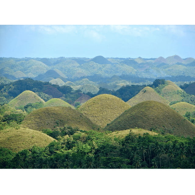 Bohol: Choco Tour + Rio Verde Lunch Buffet - Tarsier Conservation Area wildlife viewing without the scramble
