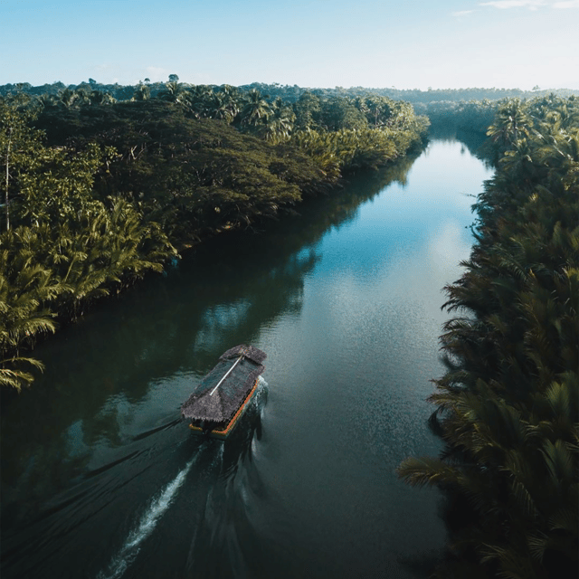 Bohol: Choco Tour + Rio Verde Lunch Buffet - What $113 buys you for an 8-hour day on Bohol