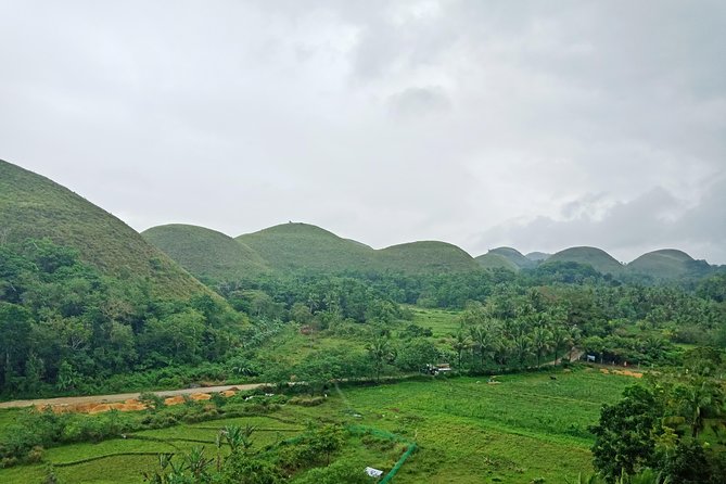 Bohol Chocolate hills and Waterfalls Ecotour - What you get for $119, and why it can be good value