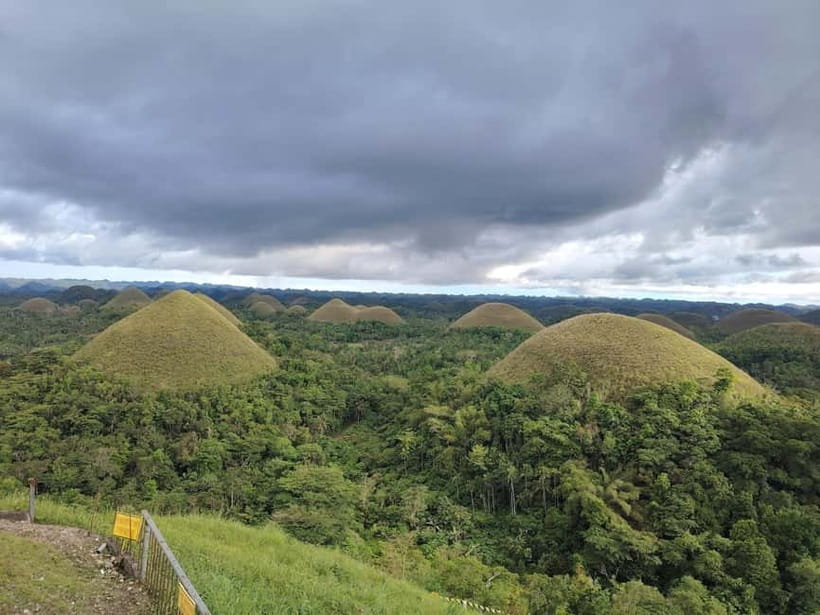 BOHOL: Chocolate Hills, Tarsiers and Loboc River Day Tour - Key things I’d watch for