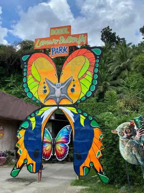 BOHOL: Chocolate Hills, Tarsiers and Loboc River Day Tour - The van comfort upgrade: high-roof, extra legroom, cool air