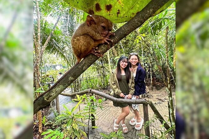 Bohol: Chocolate Hills, Tarsiers, & Loboc River Private Tour - National Museum of the Philippines, Bohol, and the context it gives you