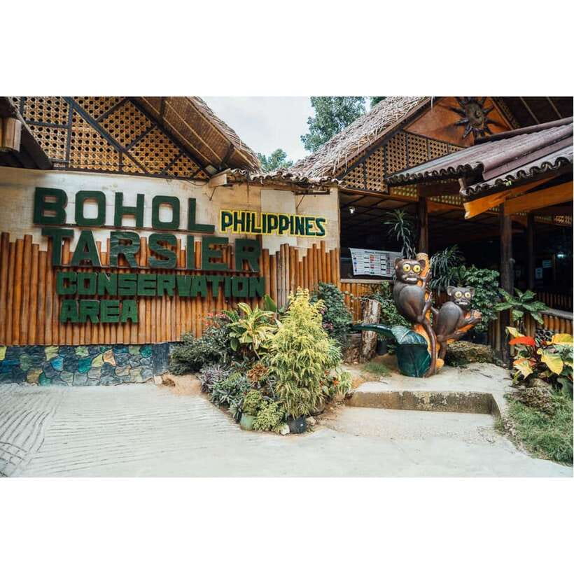 Bohol: Chocolate Hills Tour - Should you book this Chocolate Hills, Loboc, and Tarsiers tour?