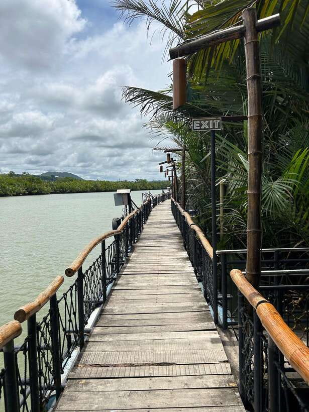 Bohol: Chocolate Hills Tour with Loboc River Cruise & Lunch - From Panglao Pickup to a Full Circuit Around Bohol