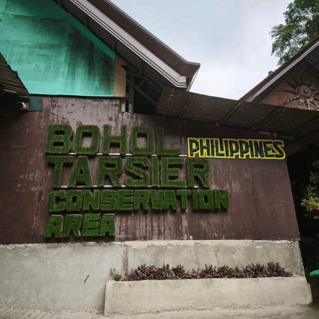 Bohol Chocolate Hills Tour with Loboc River Lunch Buffet - Key highlights to clock right away