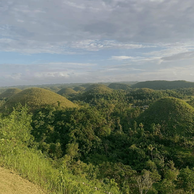 Bohol Chocolate Hills Tour with Loboc River Lunch Buffet - Loboc River lunch cruise: the highlight that ends the day right