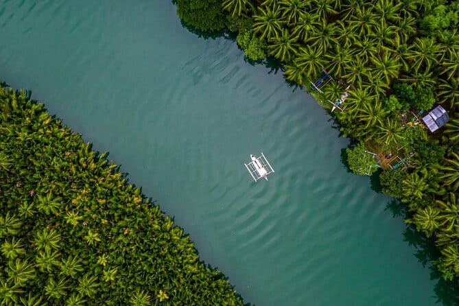 Bohol Country Side Tour - Private w/ Lunch - Philippine Tarsier and Wildlife Sanctuary: tiny primates, big eyes