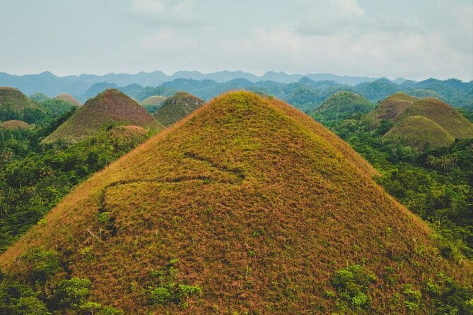 Bohol Country Side Tour - Private w/ Lunch - Bilar Man-Made Mahogany Forest: quiet shade, planted on purpose
