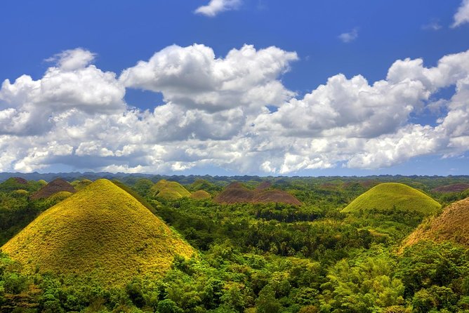 Bohol Countryside Day Tour From Cebu City | Lunch at Loboc River Cruise - Bilar Mahogany Forest: A Great Idea With a Possible “Passing Through” Feeling