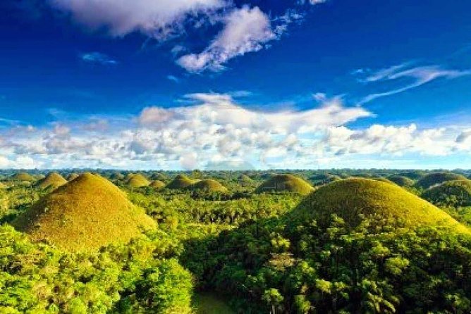 Bohol Countryside Day Tour From Cebu City | Lunch at Loboc River Cruise - Baclayon Church and the Blood Compact Monument: History Stops With Short Time Windows