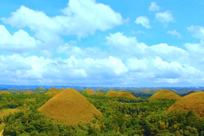 Bohol Countryside Day Tour from Cebu City or Mactan - Best Seller - One Day From Cebu to Bohol: The 4:30 am Plan