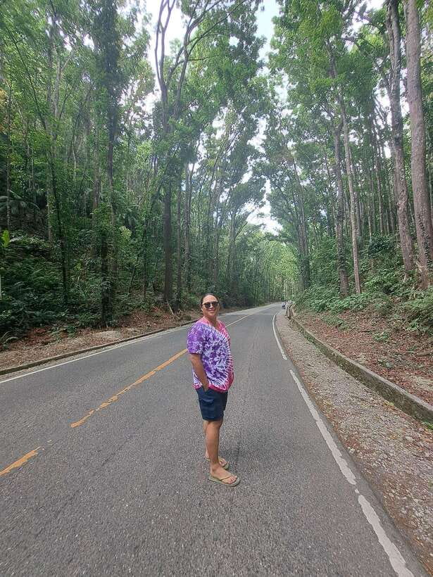 Bohol Countryside Day Tour w Lunch at Loboc River From Cebu - Chocolate Hills Natural Monument: 1,268 hills, one memorable viewpoint