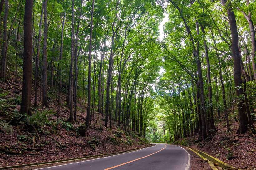 Bohol: Countryside Tour with Loboc (Buffet Lunch) - Key points to know before you go