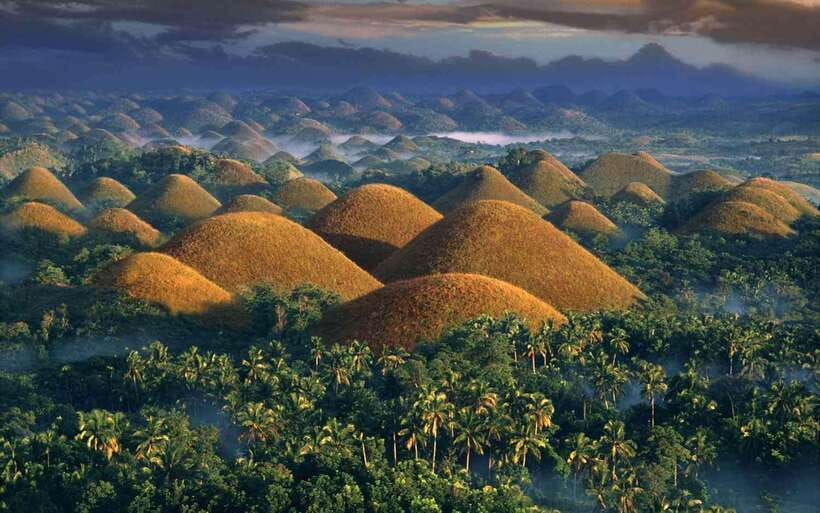 Bohol: Countryside Tour with Loboc (Buffet Lunch) - How the day works from Tagbilaran City and Panglao