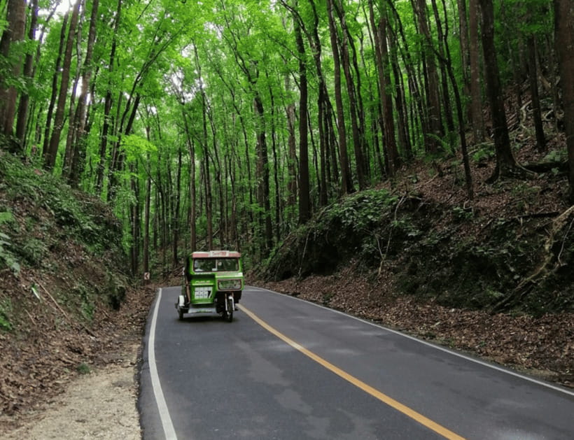 Bohol: Countryside Tour with Tarsiers and Chocolate Hills - Who this tour fits best