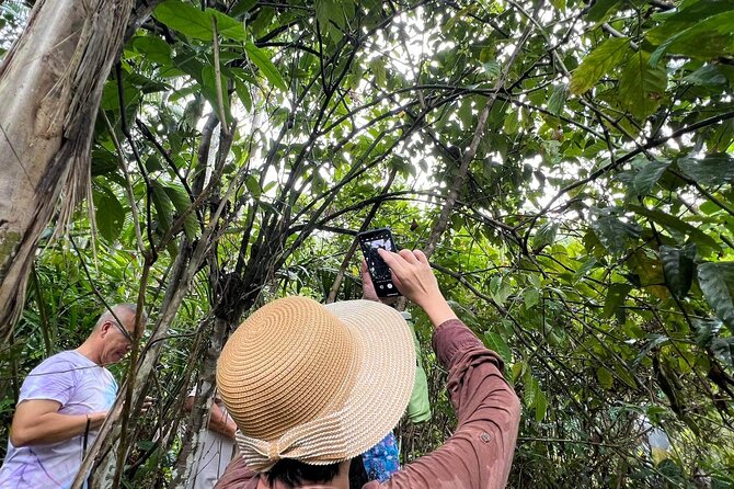Bohol Day Tour with Round-Trip Transfers from Cebu - Price and value: what $208.22 includes and why that matters