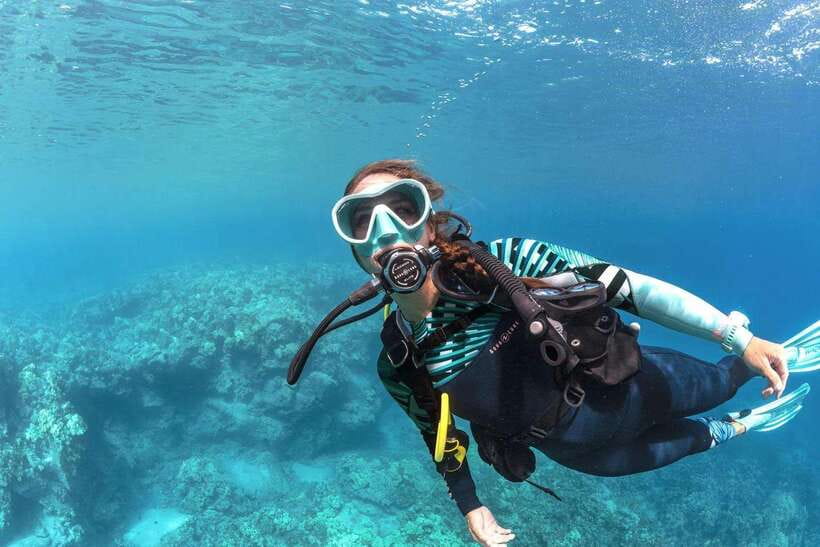 Bohol: Discover Scuba Diving - No Experience Needed - Quick hits before you book