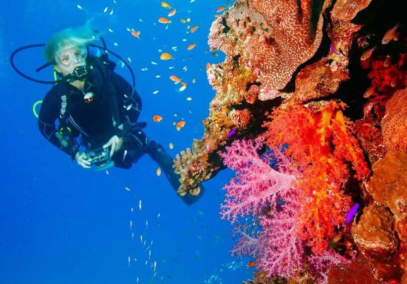 Bohol: Discover Scuba Diving - No Experience Needed - The guided open-water session: around 30 minutes, no guessing
