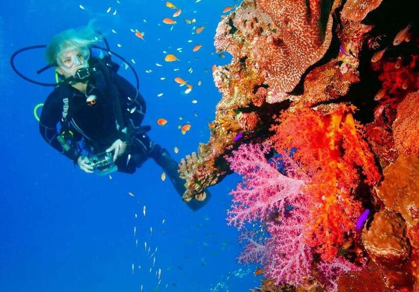 Bohol: Discover Scuba Diving - No Experience Needed - Your 1-hour theory lesson: what you need, nothing extra