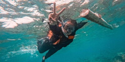 Bohol Dolphin Watching, Balicasag, and Virgin Island Tour