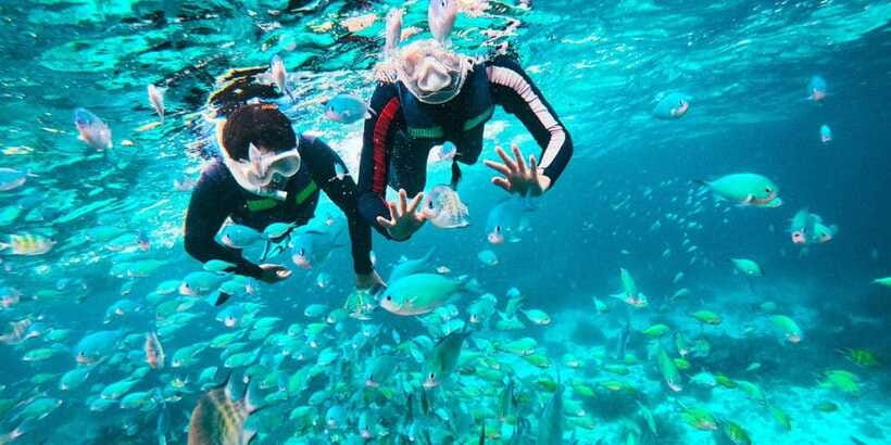 Bohol Dolphin Watching, Balicasag, and Virgin Island Tour - Virgin Island sandbar: check what’s actually included