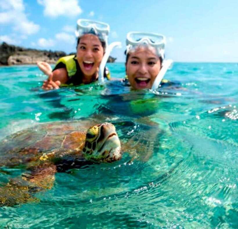Bohol: Dolphin Watching & Sea Turtle Swim Island Tour - Balicasag Island Turtle Snorkeling: The Main Event