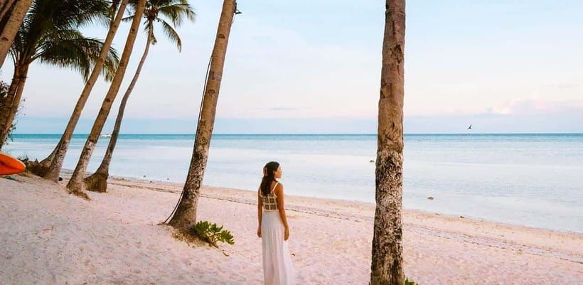 Bohol: Dolphin Watching & Sea Turtle Swim Island Tour - Price and Value, Plus the ₱500 Environmental Fee