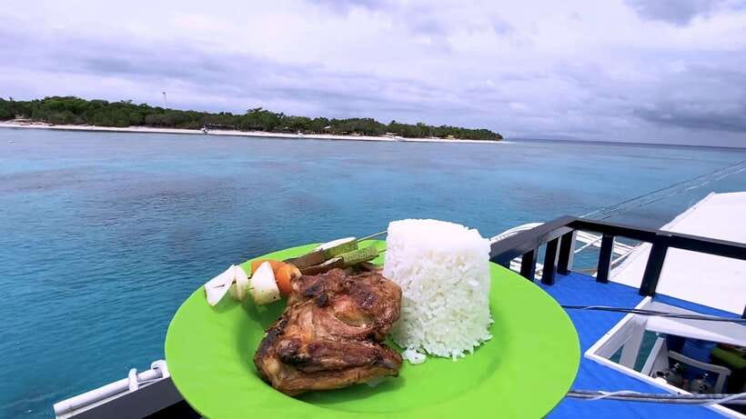 Bohol: Dolphin Watching & Snorkeling at Balicasag Island - Dolphin watching: what you can expect, and what you should not count on