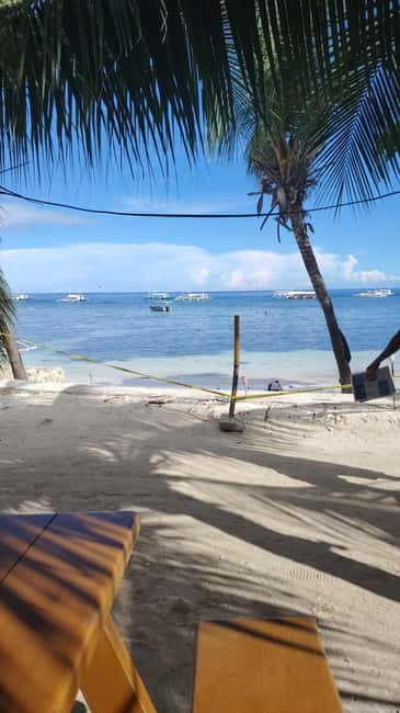 BOHOL: Dolphin Watching, Turtle Swim and Party Boat - Snorkeling Gear, Life Vest, and Photo Help