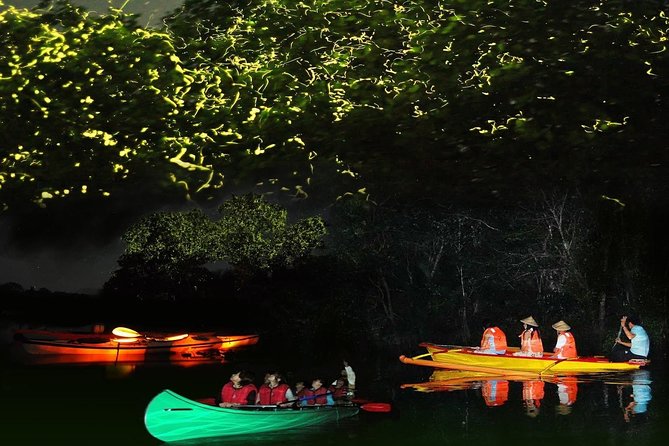 Bohol Firefly Watching (Private) - Key things to know before you go